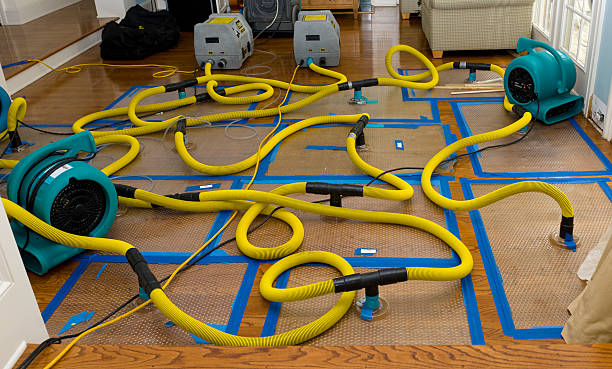 Professional Crawl Space Water Removal technician working in Little Compton, RI